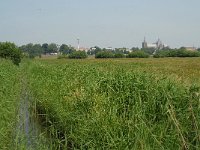 NL, Noord-Brabant, 's Hertogenbosch, Bossche broek 28, Saxifraga-Willem van Kruijsbergen